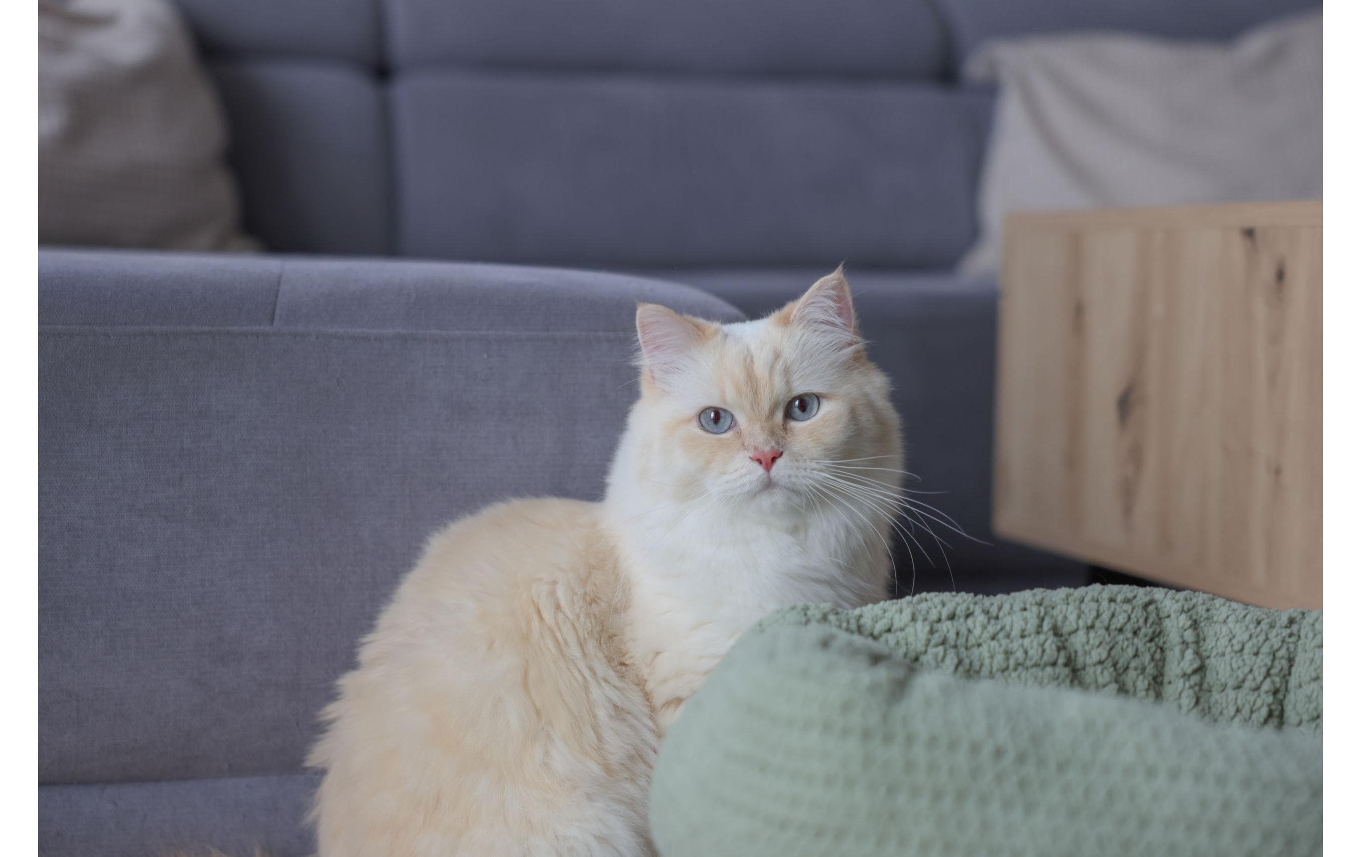 Kerbl Kuschelbett Anne Ø40 cm x 23 cm