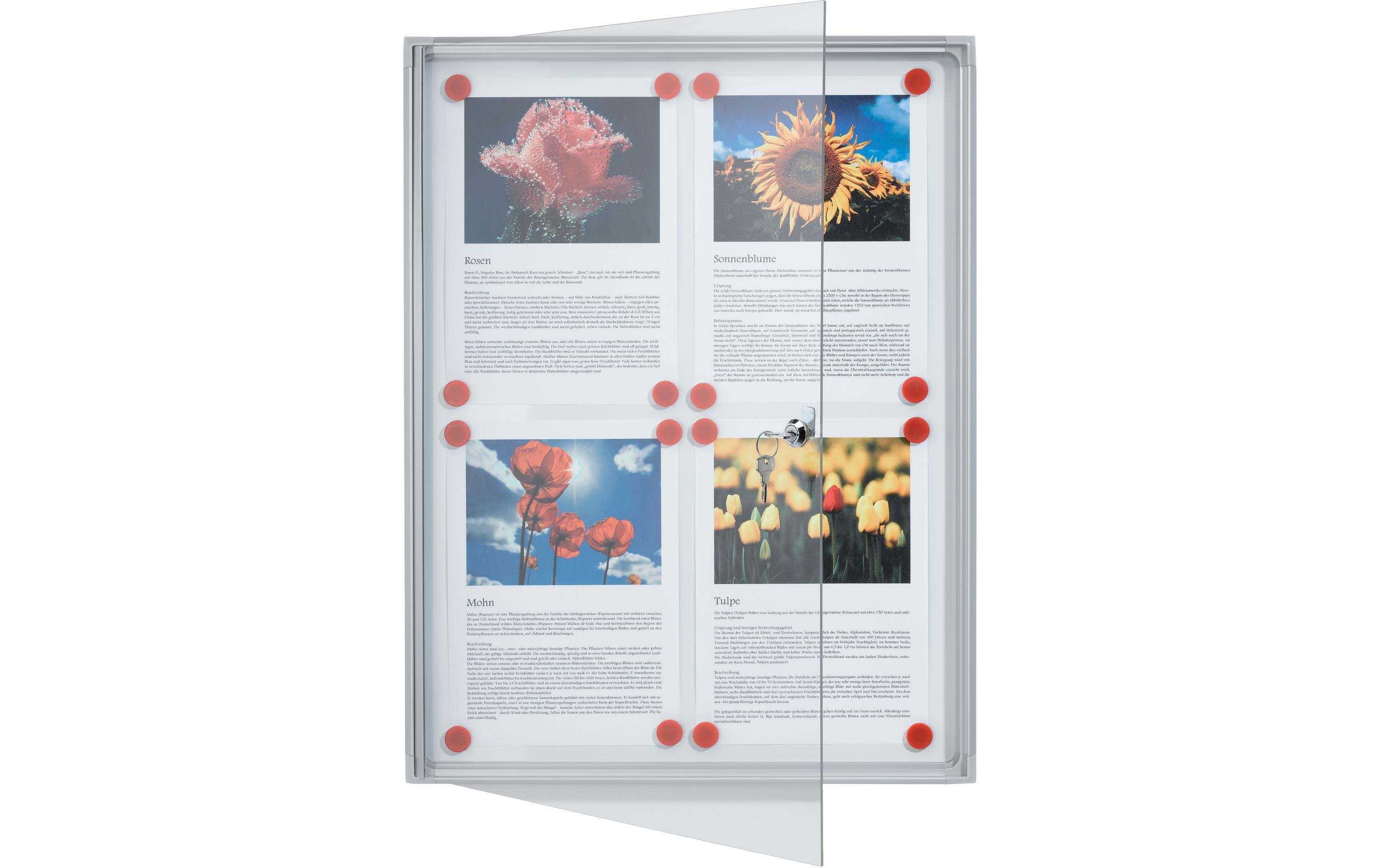 Franken Schaukasten X-tra!Line 4 x A4