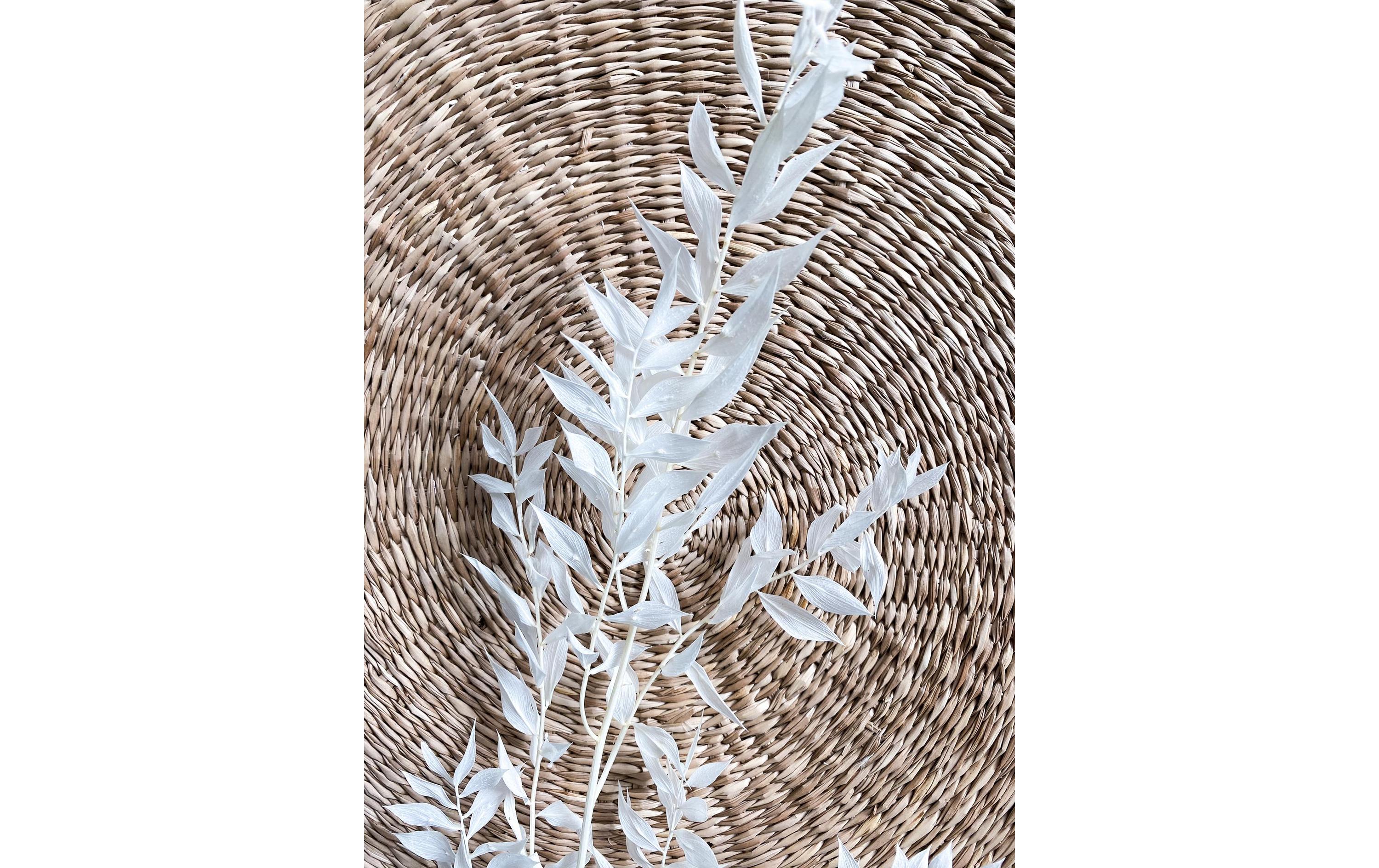 Soli Collection Trockenblumen Ruscus 70-75 cm, Weiss