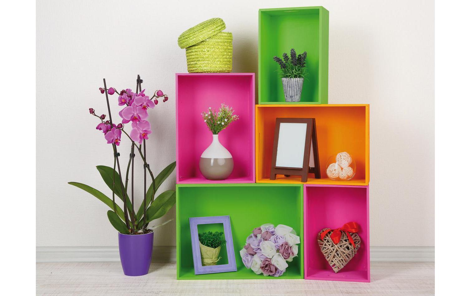 d-c-fix Designfolie Uni Apple Lack