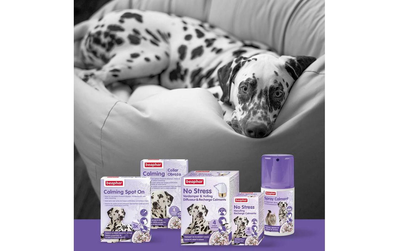 Beaphar No Stress Calming Diffusor Hunde 30 ml