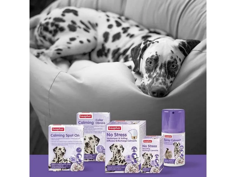 Beaphar No Stress Calming Diffusor Hunde 30 ml