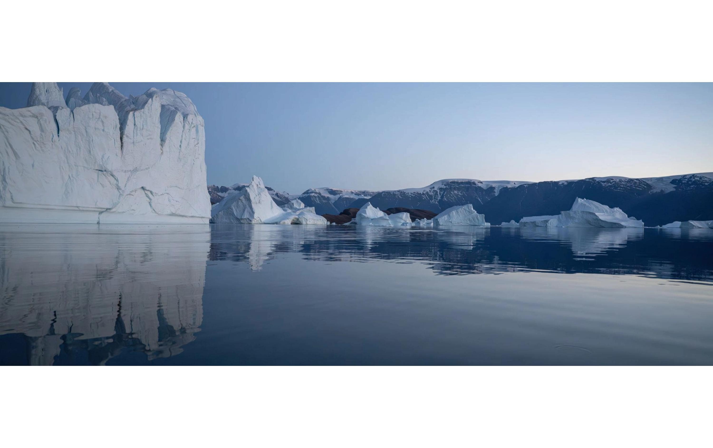 PolarPro Filter Vivid Collection Osmo Pocket 3