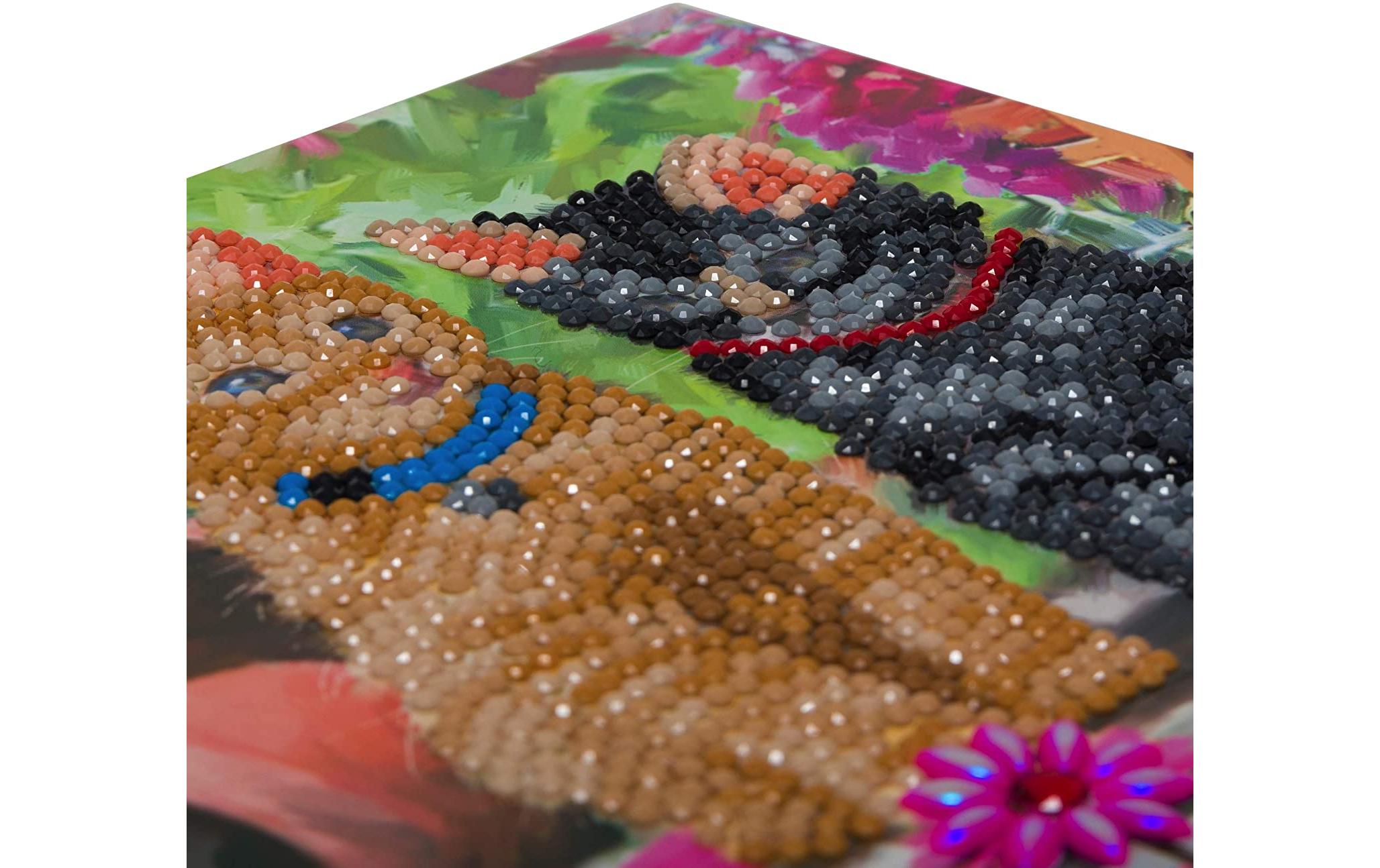 CRAFT Buddy Bastelset Crystal Art Card Cat Friends