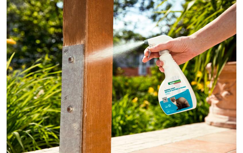 Windhager Marder-Stop Spray 500 ml