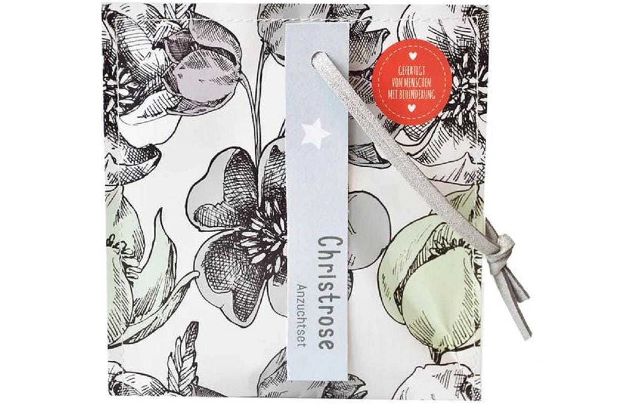 Wunderle Kleiner Weihnachtsgruss mit Christrosen Saatgut