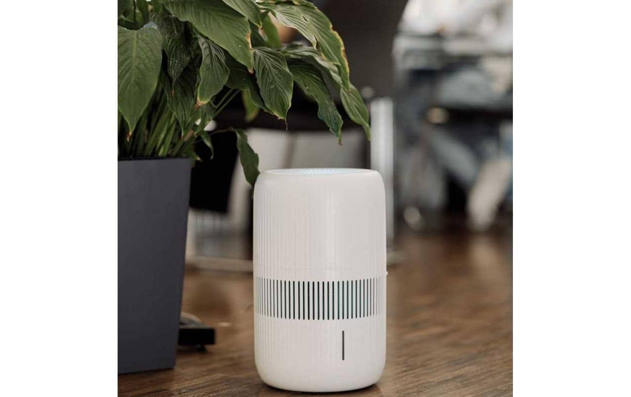 Ecofort Luftbefeuchter ecoQ HumidAir E600+ 80 m²