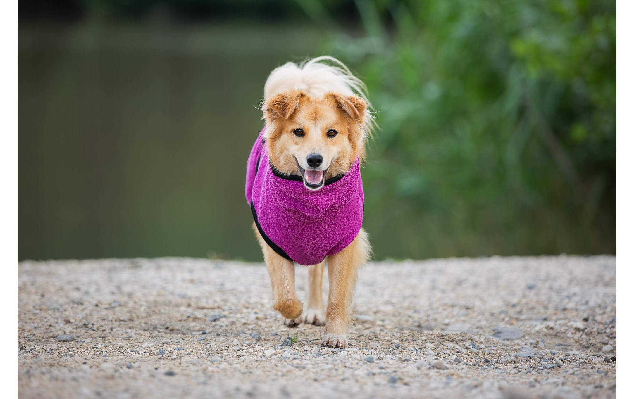 Deek Bademantel 2XS, 35 cm, Berry