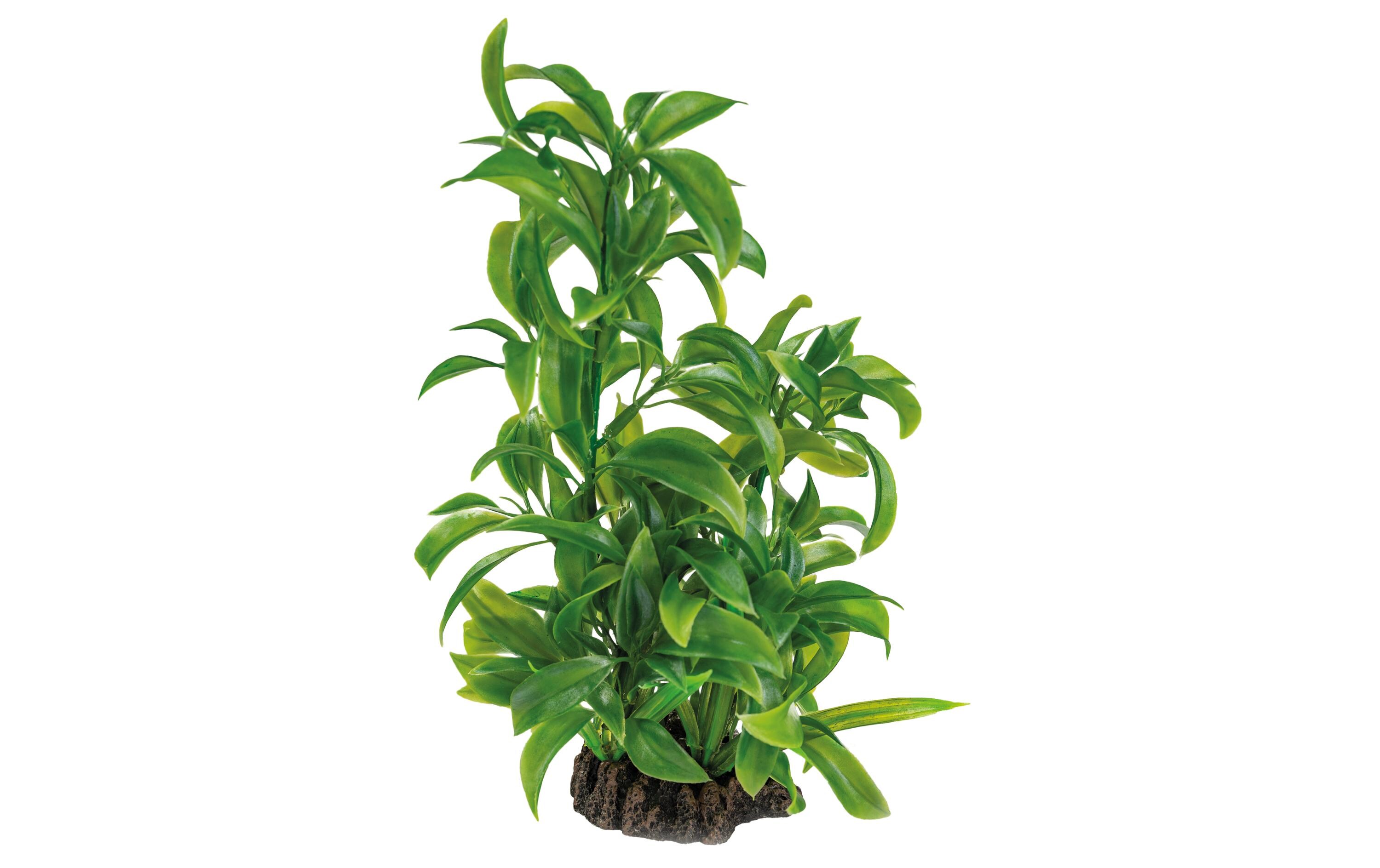 SuperFish Kunstpflanze Dracaena, 25 cm