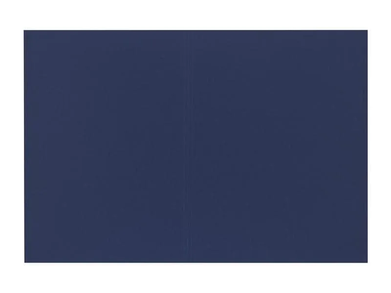 Biella Einlagemappe Recycolor A4 Blau
