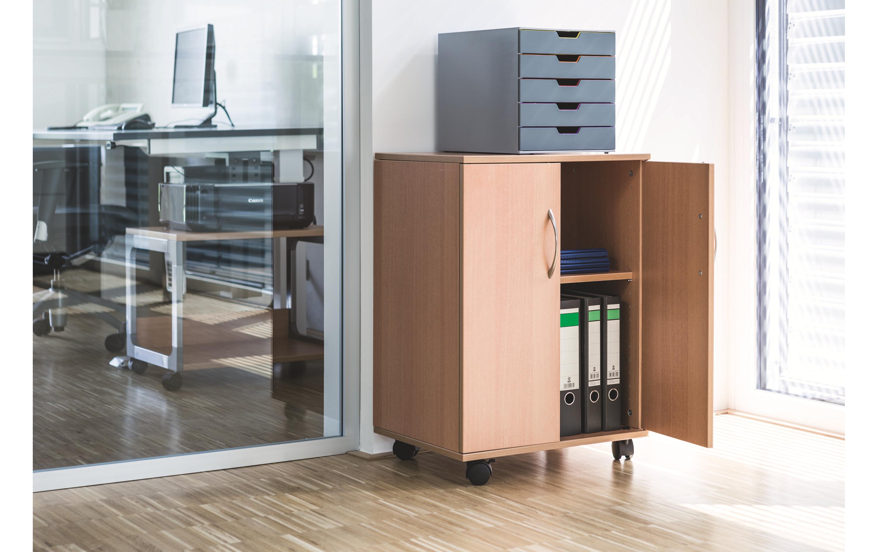 DURABLE Multifunktionswagen 74/53 2 Türen, 2 Böden, Braun