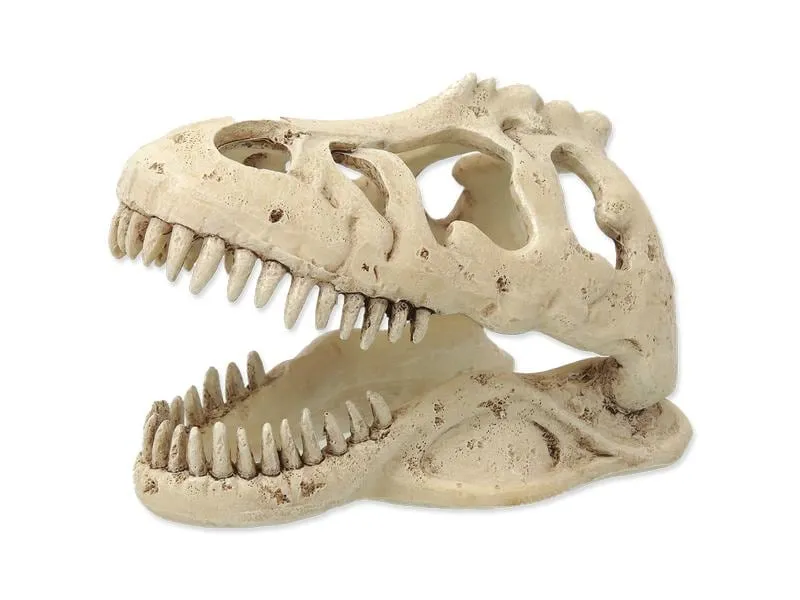 Repti Planet Dekoschädel T-Rex Repti Planet Dekoschädel T-Rex