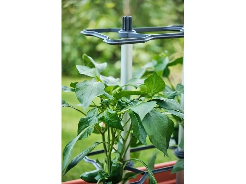 Gusta Garden CHILI BUDDY Rankhilfe für Chilis & Paprika im 3er Set Silber Gusta Garden CHILI BUDDY Rankhilfe für Chilis & Paprika im 3er Set Silber