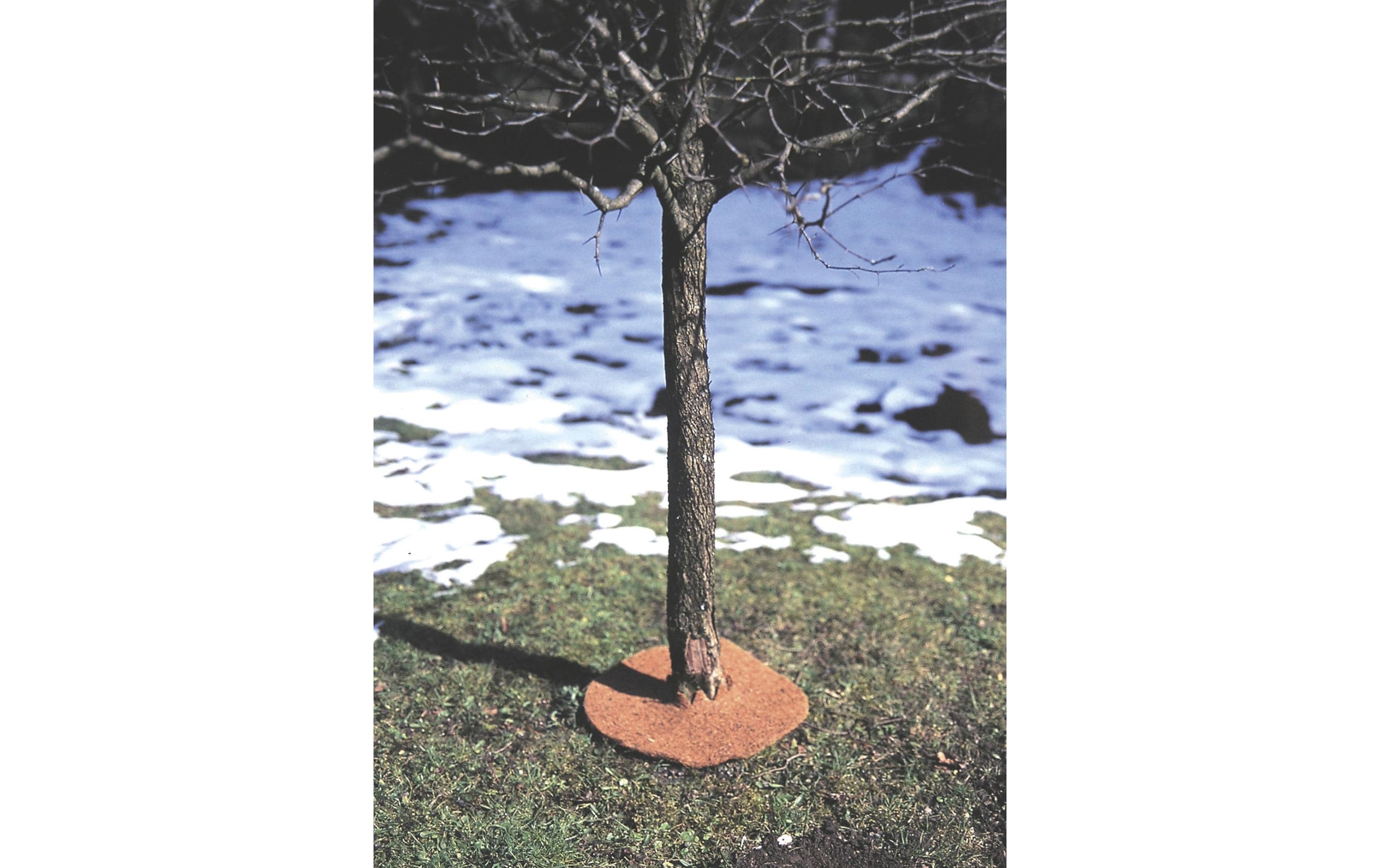 Windhager Kokos-Winterschutz-Matte Windhager Kokos-Winterschutz-Matte