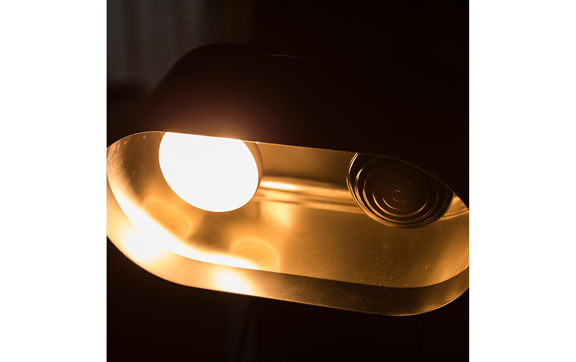 Repti Planet Reflektorlampe Dual Dome 14 cm 2 x 150 W