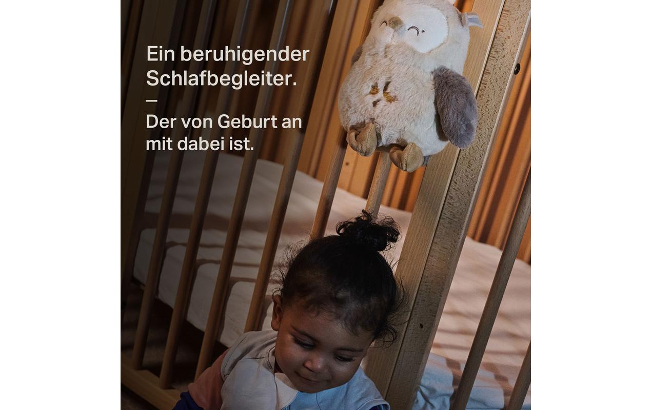 Tommee Tippee Einschlafhilfe Eule