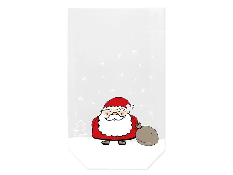 Braun + Company Guetzli-Verpackung Weihnachtsmann 11.5 x 19 cm, 10 Stück