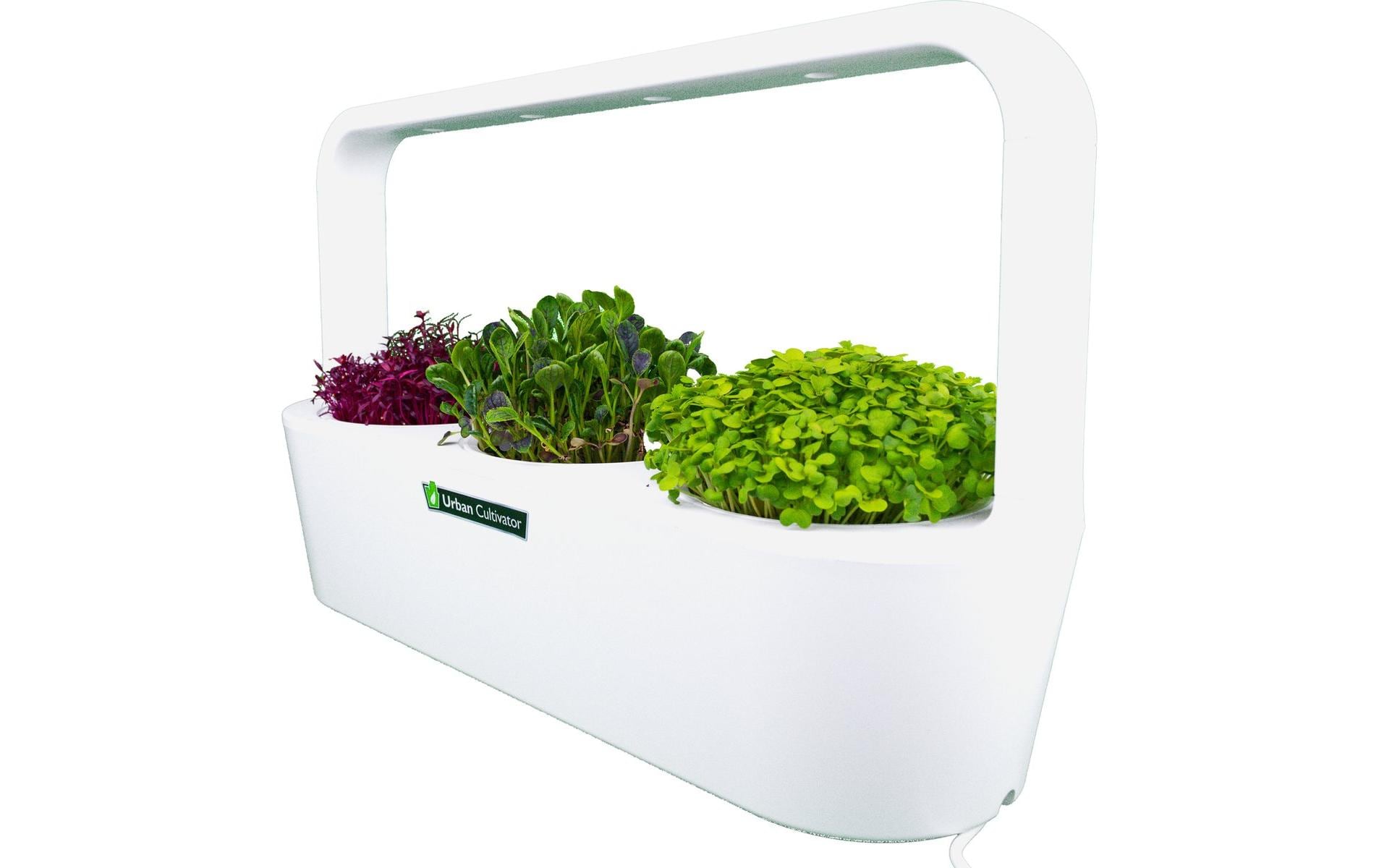 Click and Grow Indoor-Garten MicroBuddy, Weiss 38 cm