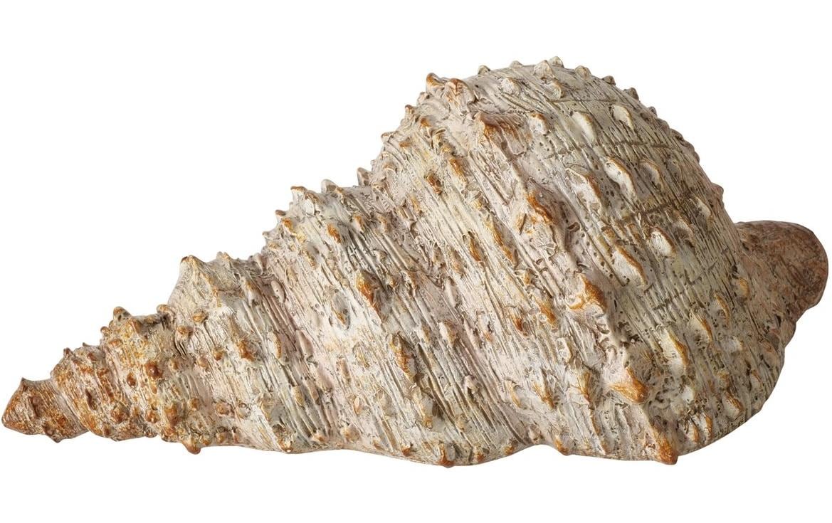 Boltze Aufsteller Muschel Bigo Beige