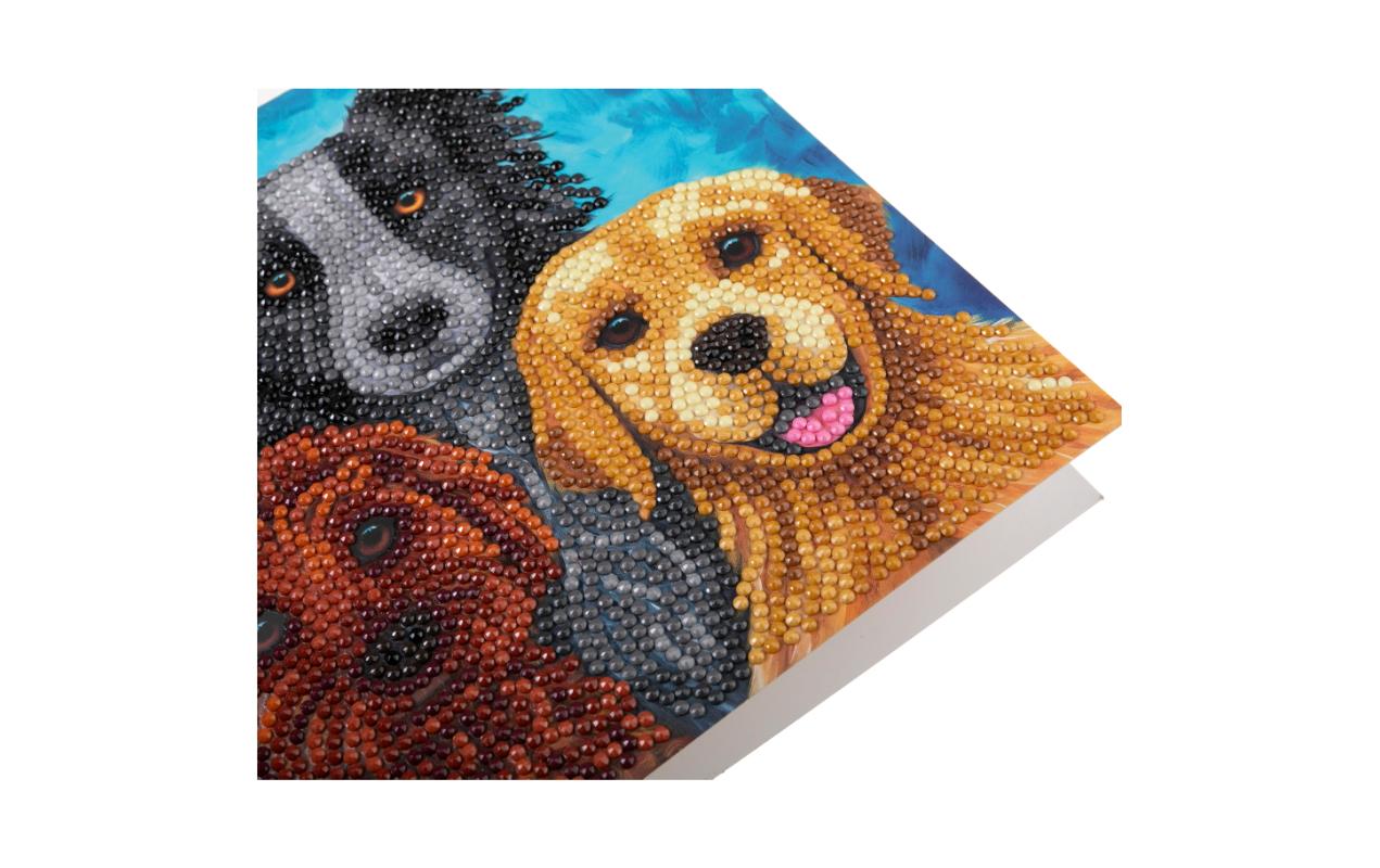 CRAFT Buddy Bastelset Crystal Art Card Hunde