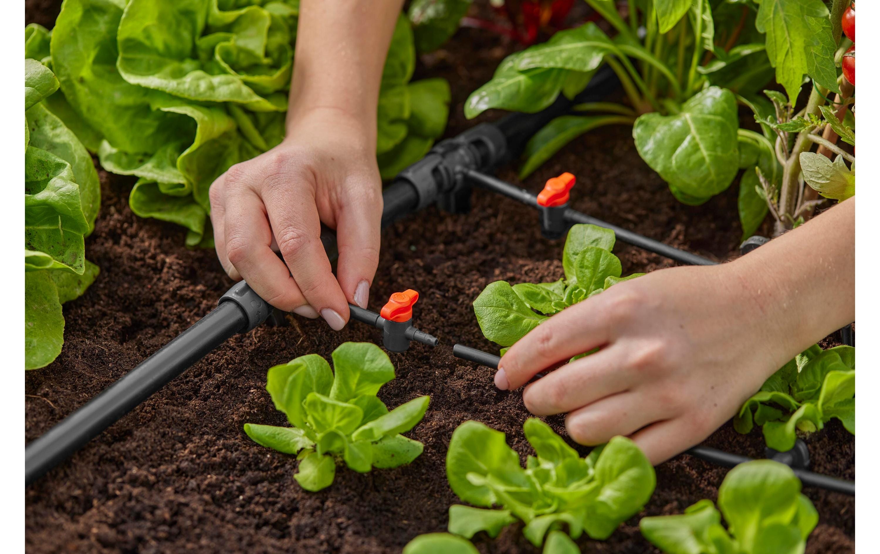 GARDENA Reduzier-T-Stück Micro-Drip-System 1/2 – 3/16, 5 Stück