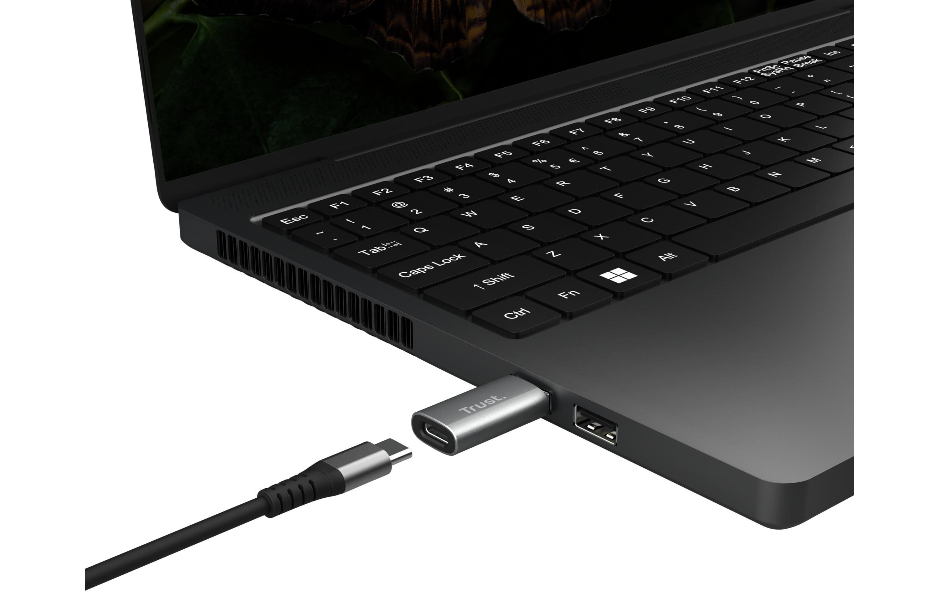 Trust USB-Adapter Calyx USB-C Stecker - USB-A Stecker