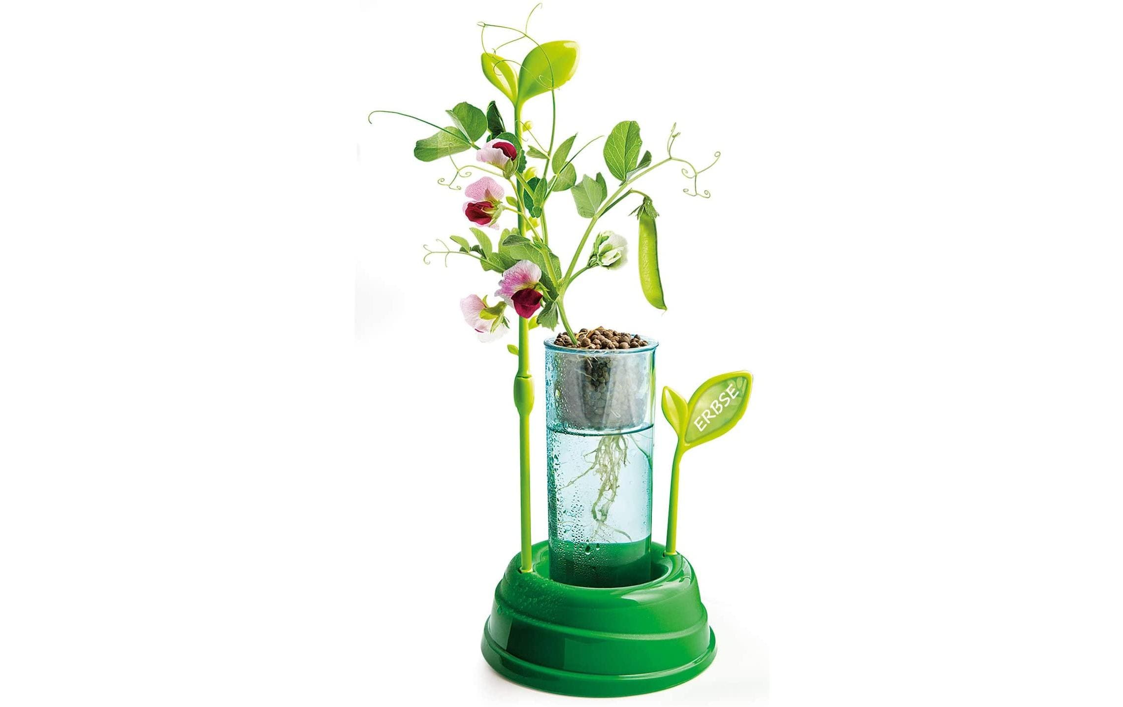 Clementoni Experimentierkasten Galileo - Hydrokultur-Gewächshaus