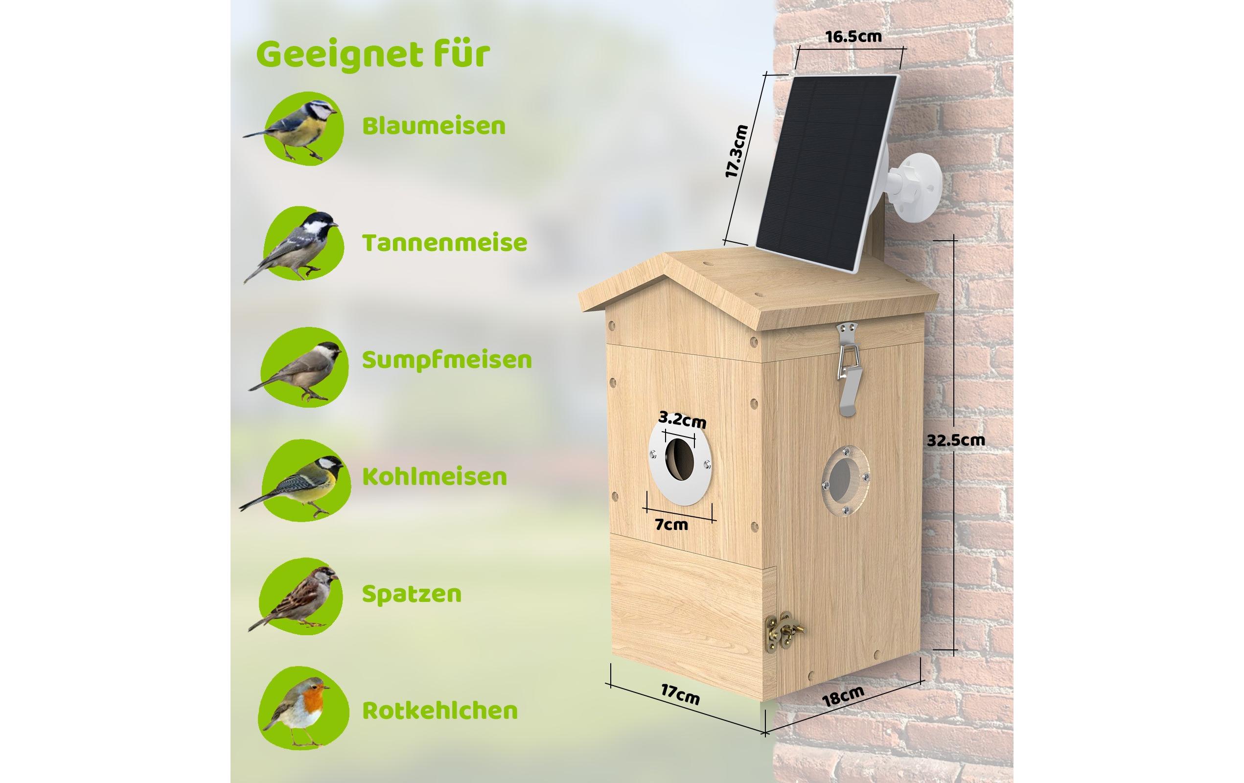 Sanilu Vogel Nistkasten mit Kamera, Solarpanel inklusive