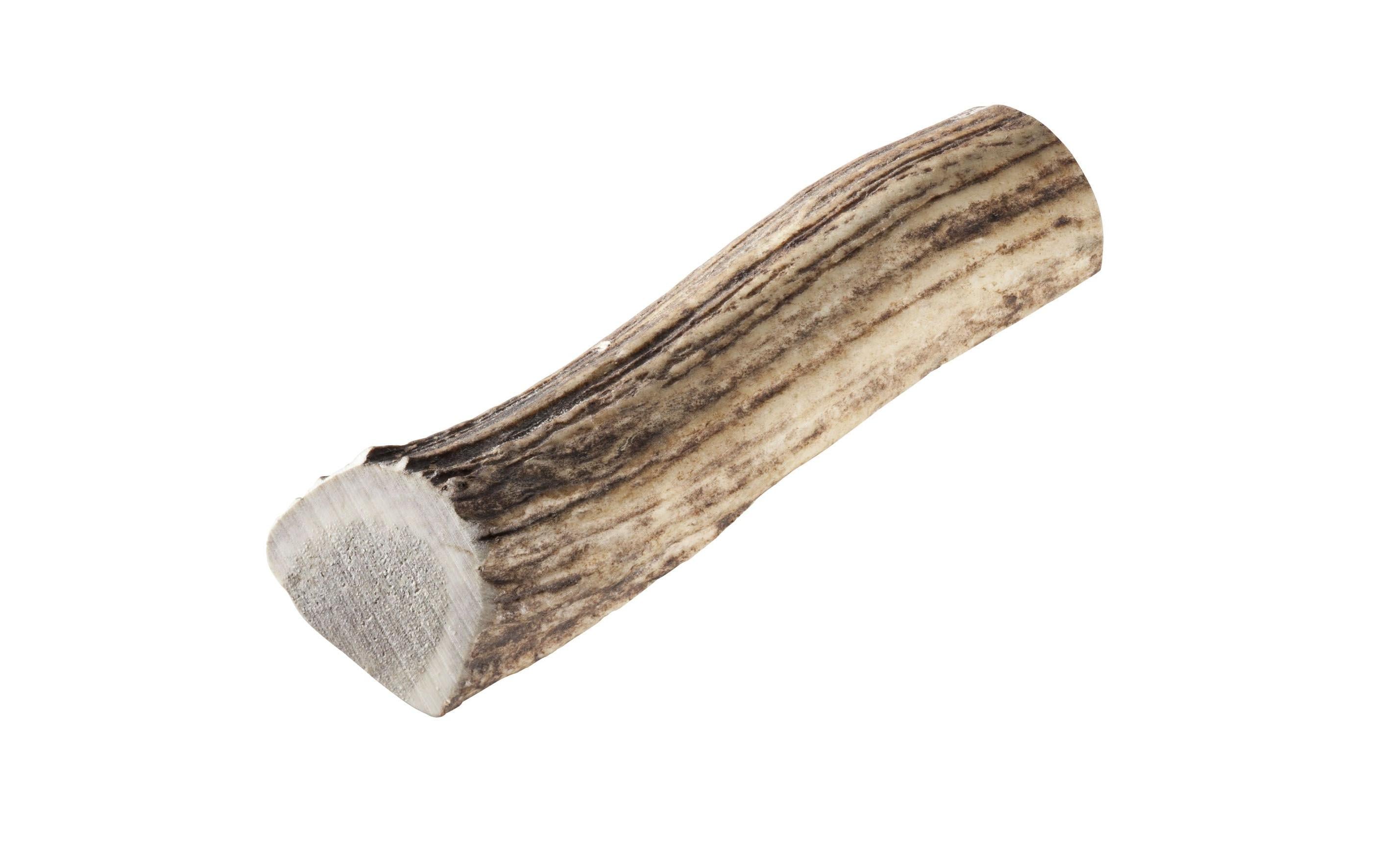 Chewies Rothirsch-Geweihstange L halb Chewies Rothirsch-Geweihstange L halb