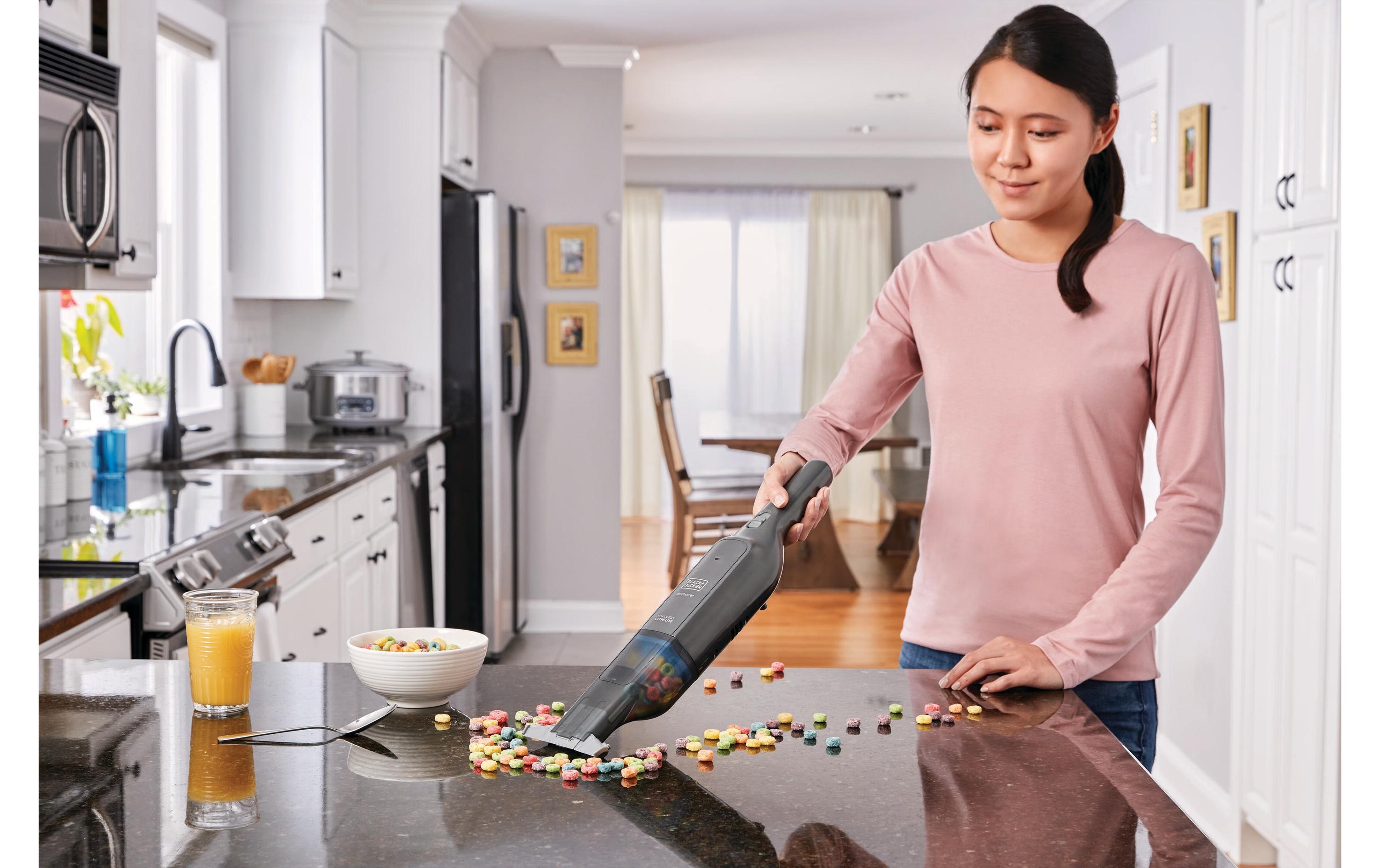 BLACK+DECKER Akku-Handsauger Dustbuster XXL Titanium