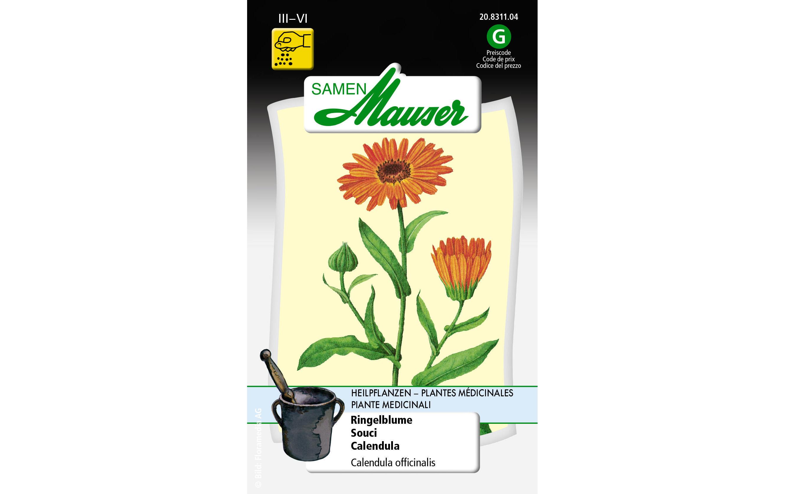 Samen Mauser Heilpflanzen Ringelblume Samen Mauser Heilpflanzen Ringelblume