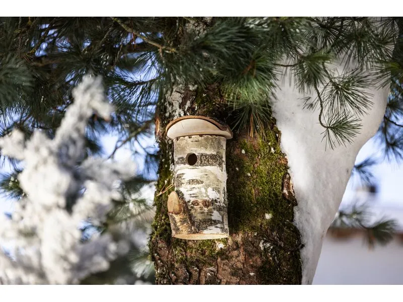 Windhager Nistkasten Wildkogel 17 x 14 x 26 cm, natur, FSC Windhager Nistkasten Wildkogel 17 x 14 x 26 cm, natur, FSC