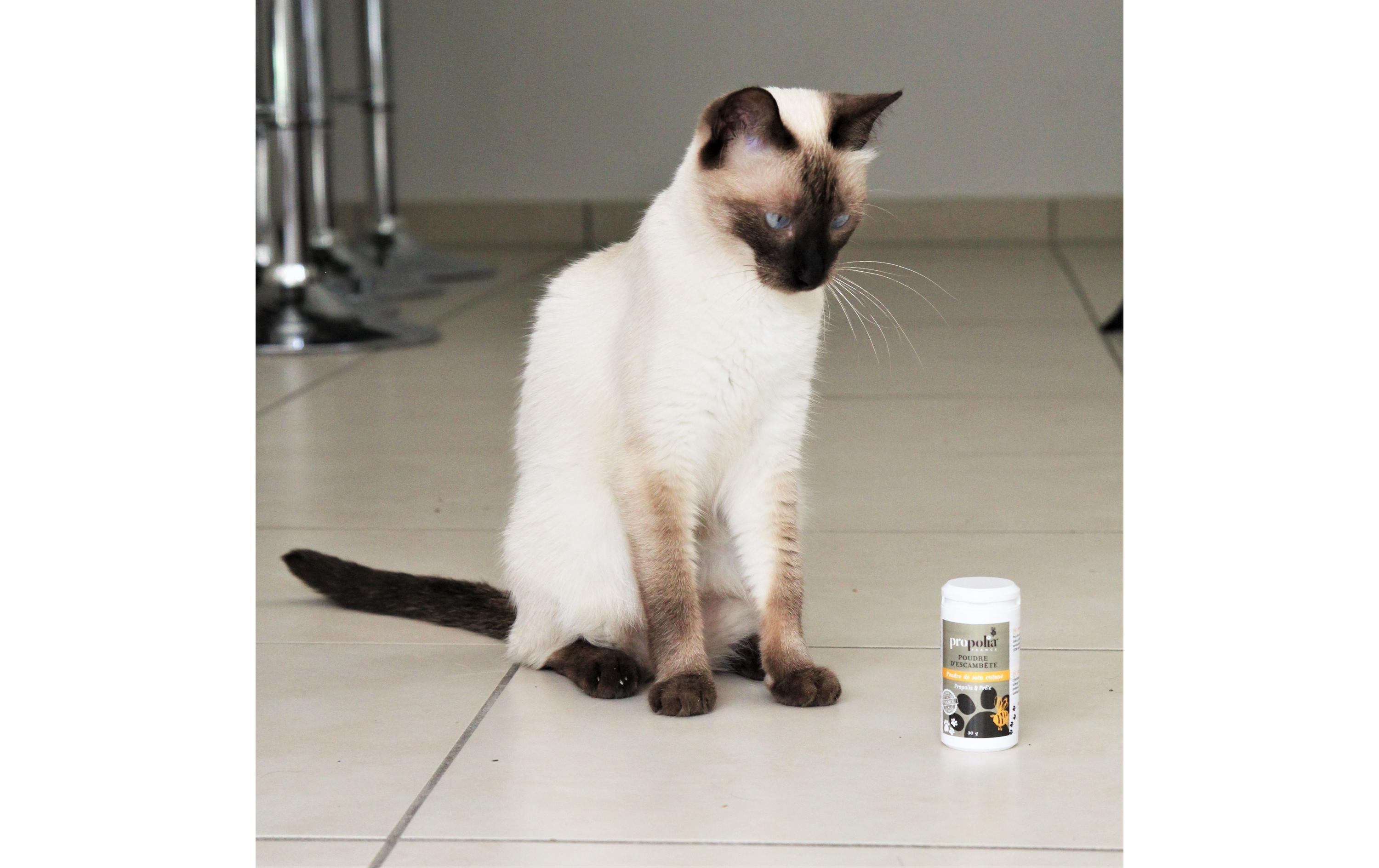 Propolia Hautpflegepuder für Tiere, 30 g