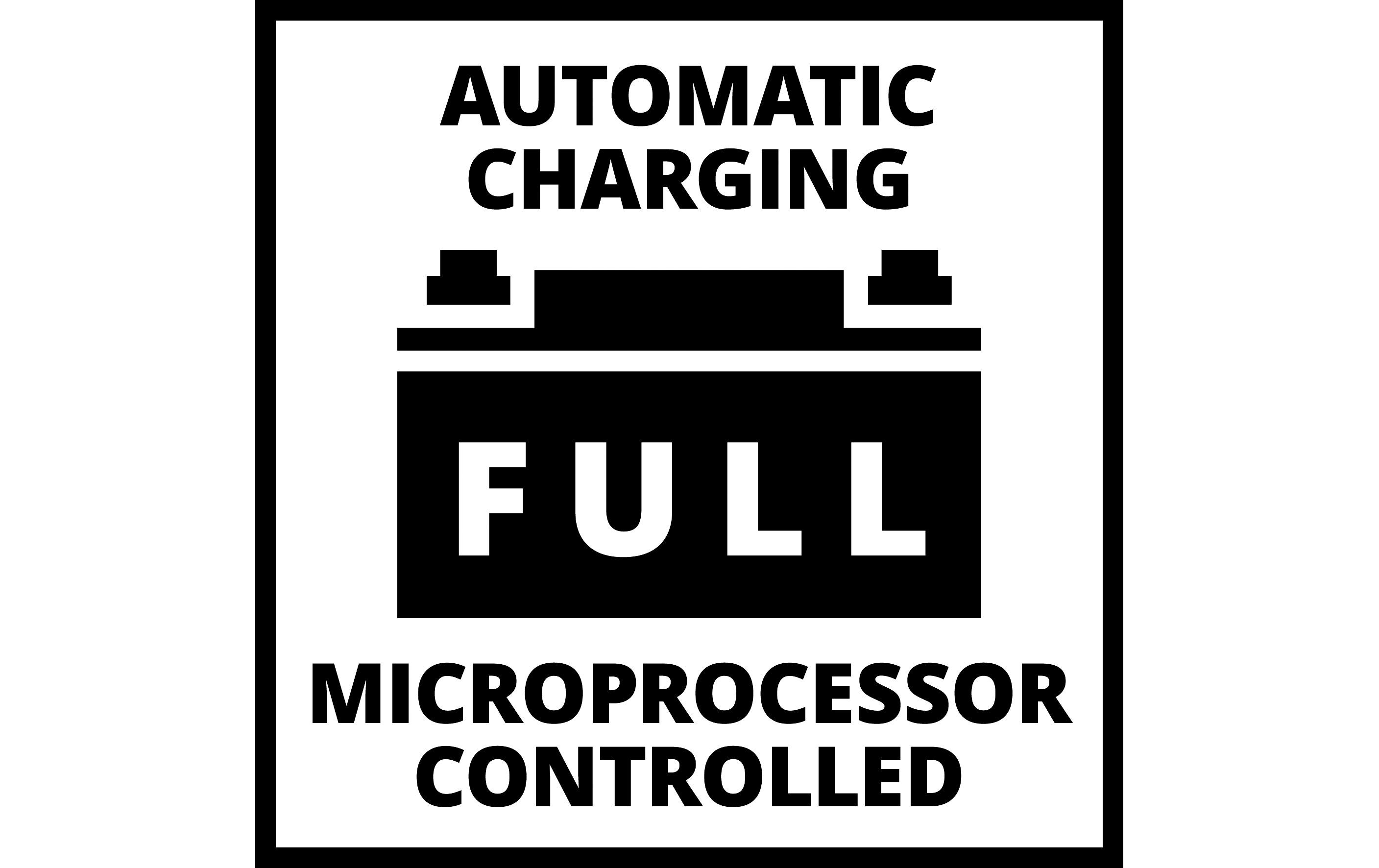 Einhell Automotive Batterieladegerät CE-BC 30 M