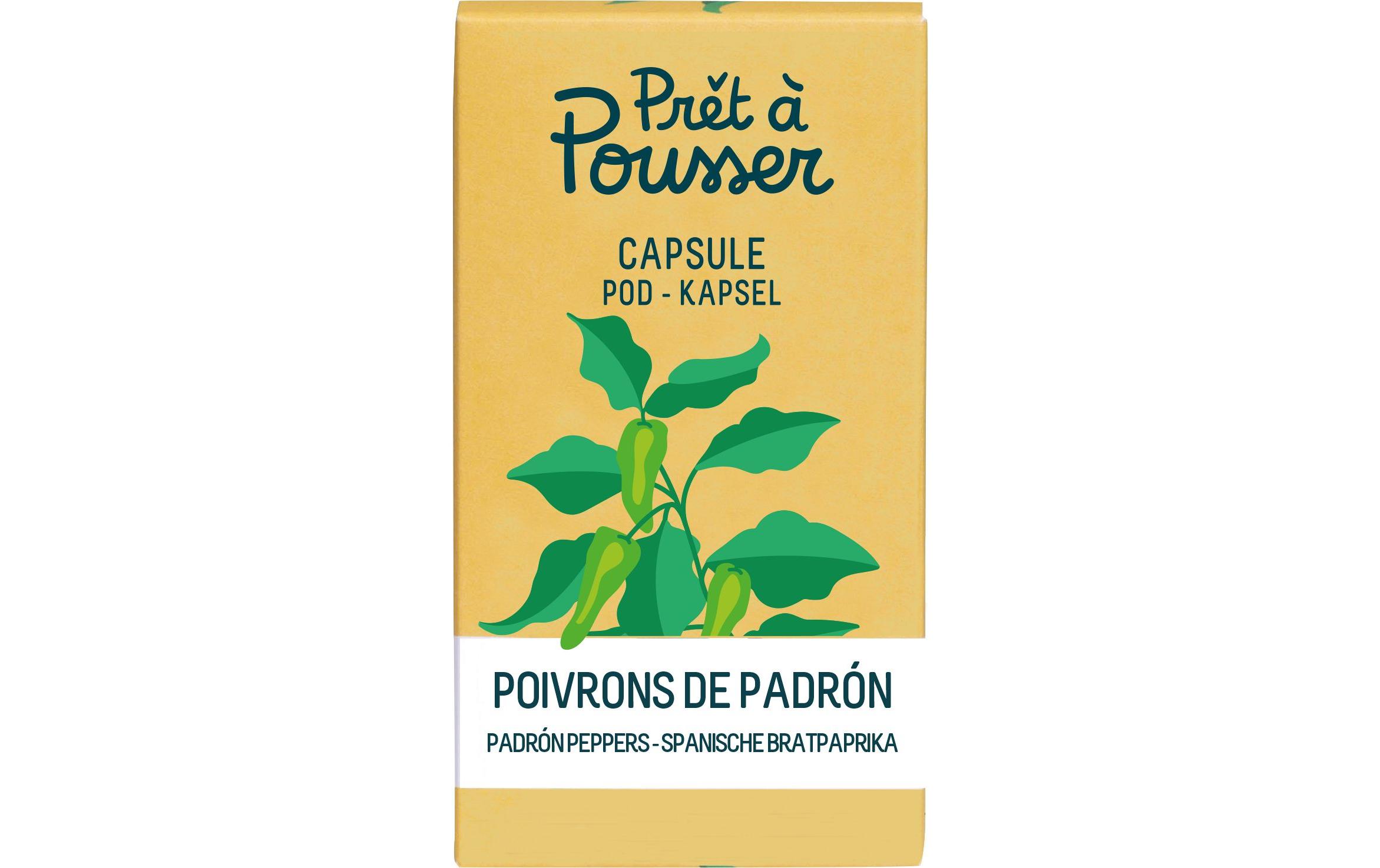 Prêt à Pousser Samen Padron-Paprika