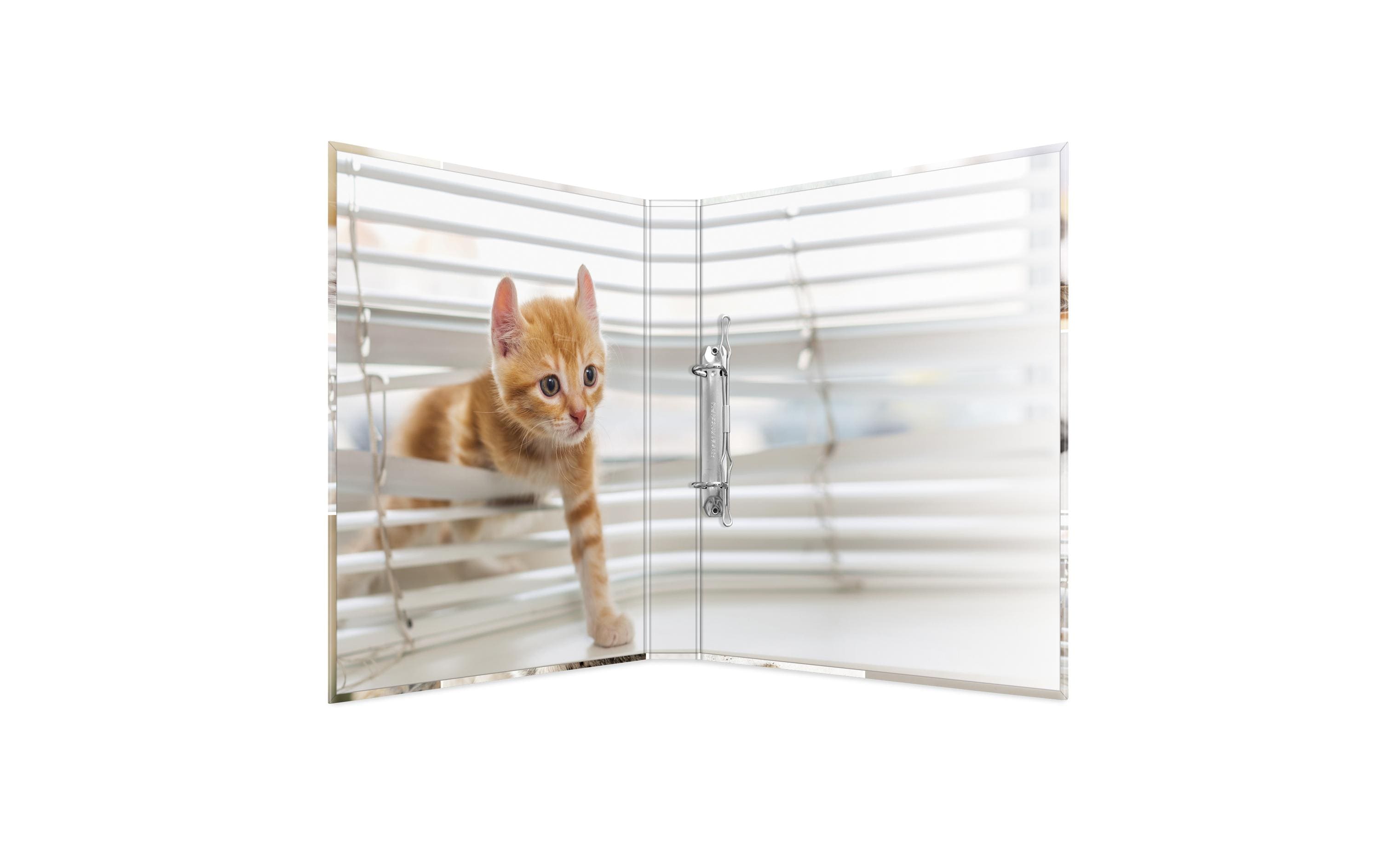 HERMA Ringbuch Katzen 2-Ring 3.5 cm, Mehrfarbig