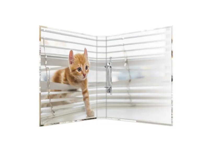 HERMA Ringbuch Katzen 2-Ring 3.5 cm, Mehrfarbig HERMA Ringbuch Katzen 2-Ring 3.5 cm, Mehrfarbig