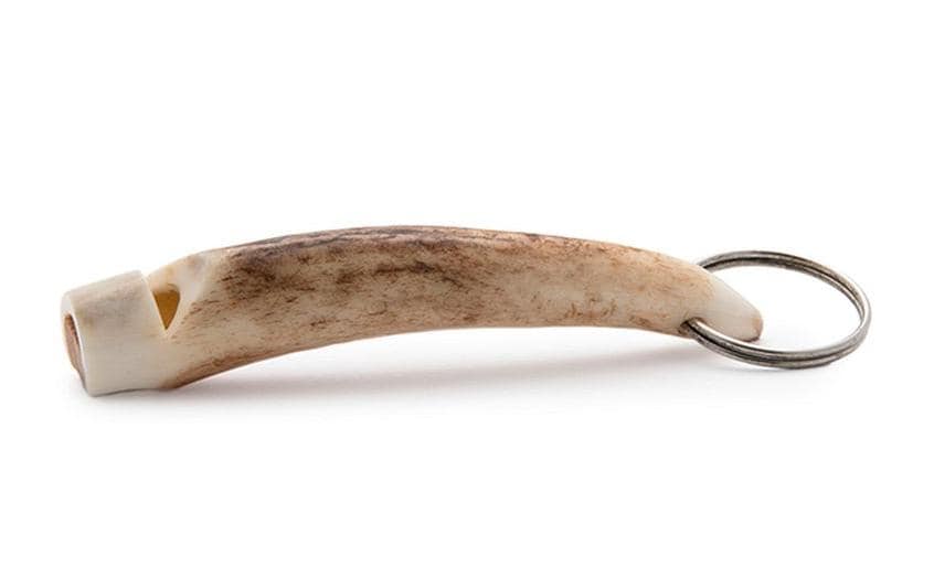 ACME Hochfrequenzpfeife Hirschhorn, Natur