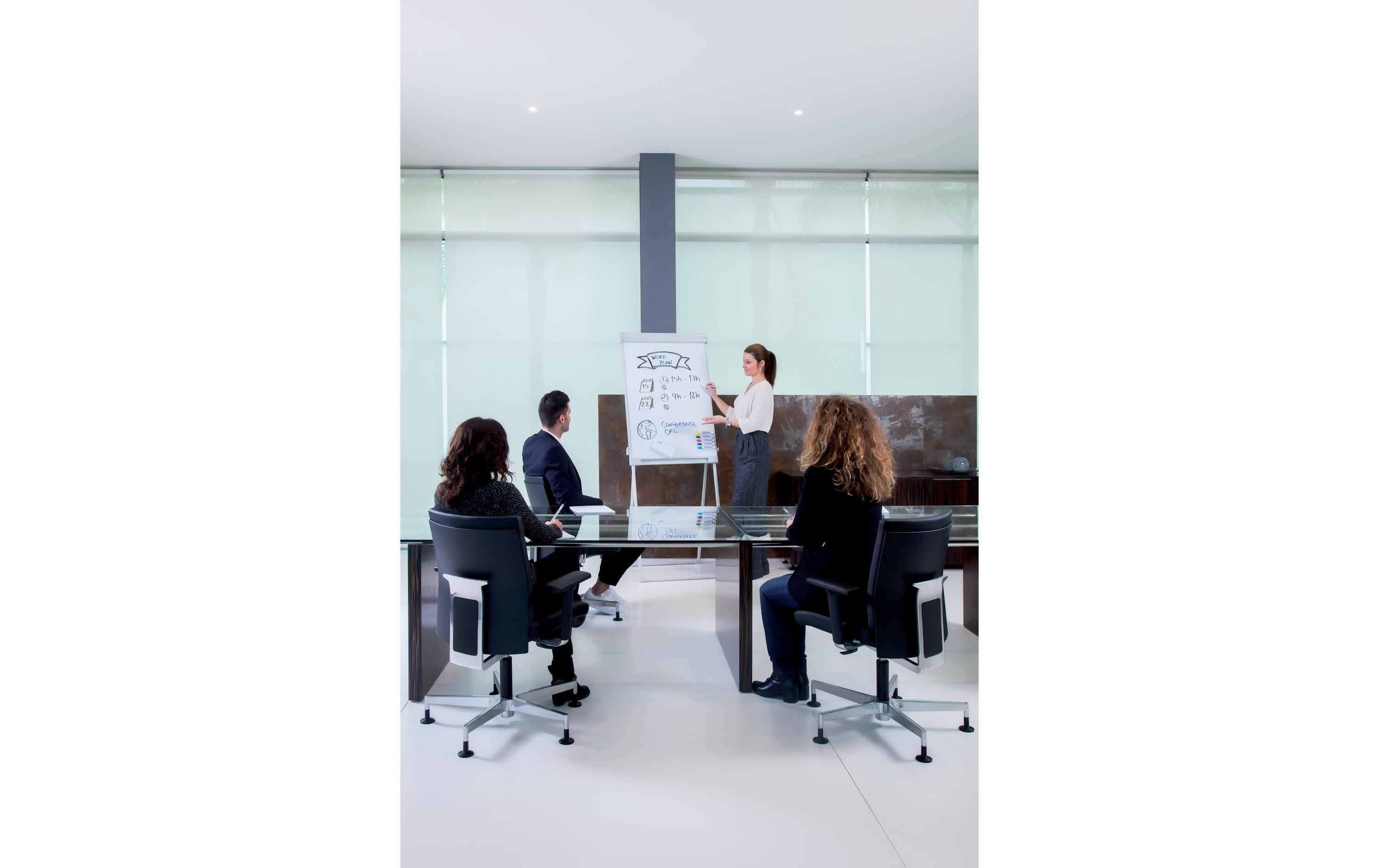 Franken Flipchart Pro Deluxe Standard 67 cm x 95 cm