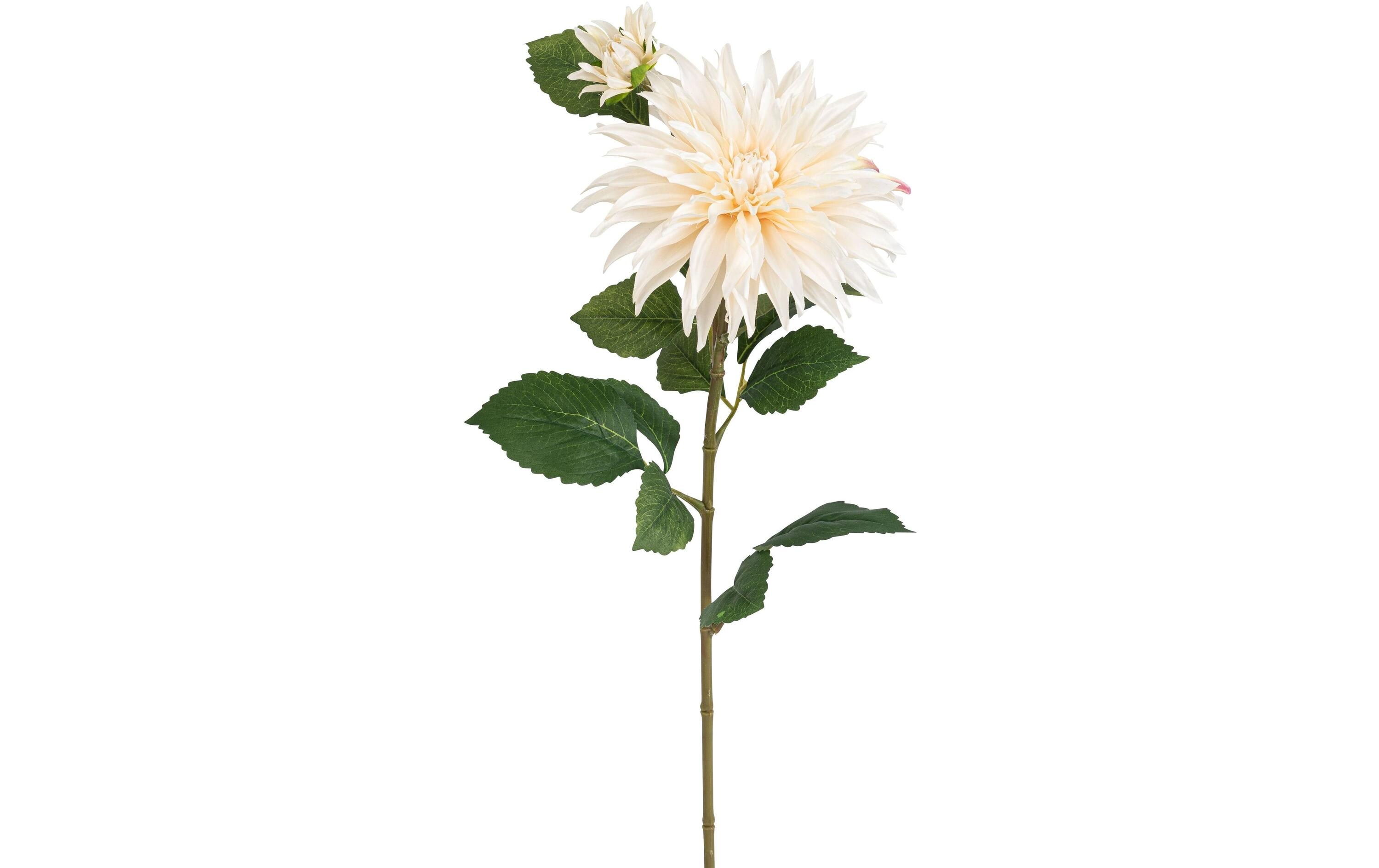 Botanic-Haus Kunstblume Dahlie, Elfenbein, 85 cm