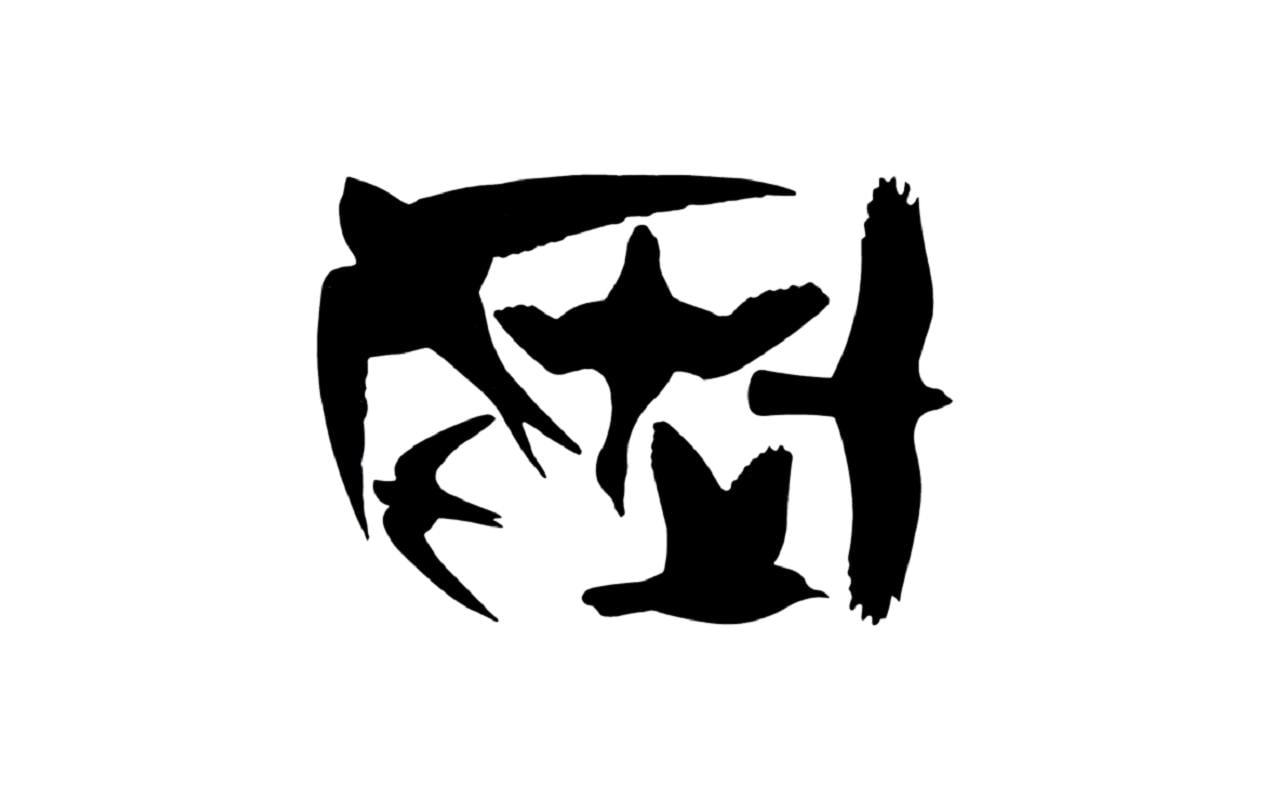 Esschert Design Fensterfolie Vogelsilhouetten 23 x 33 cm