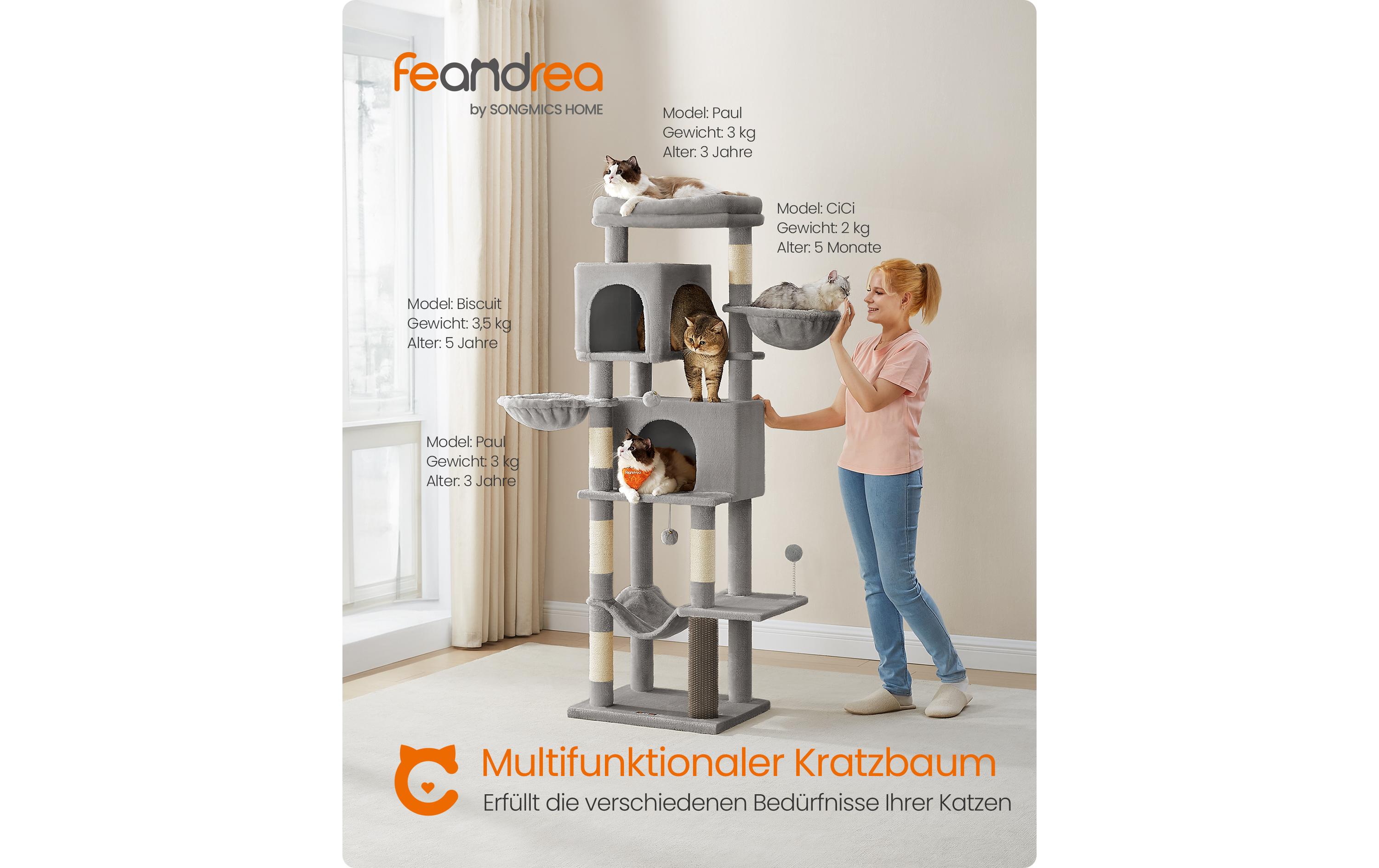 Feandrea Kratzbaum für Wohnungskatzen 178 cm, Taubengrau