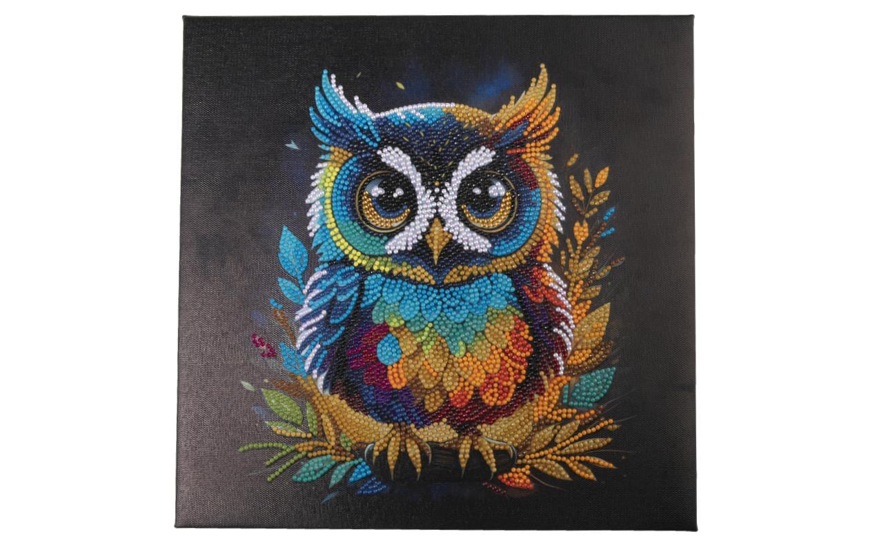 CRAFT Buddy Bastelset Crystal Art Kit Eule