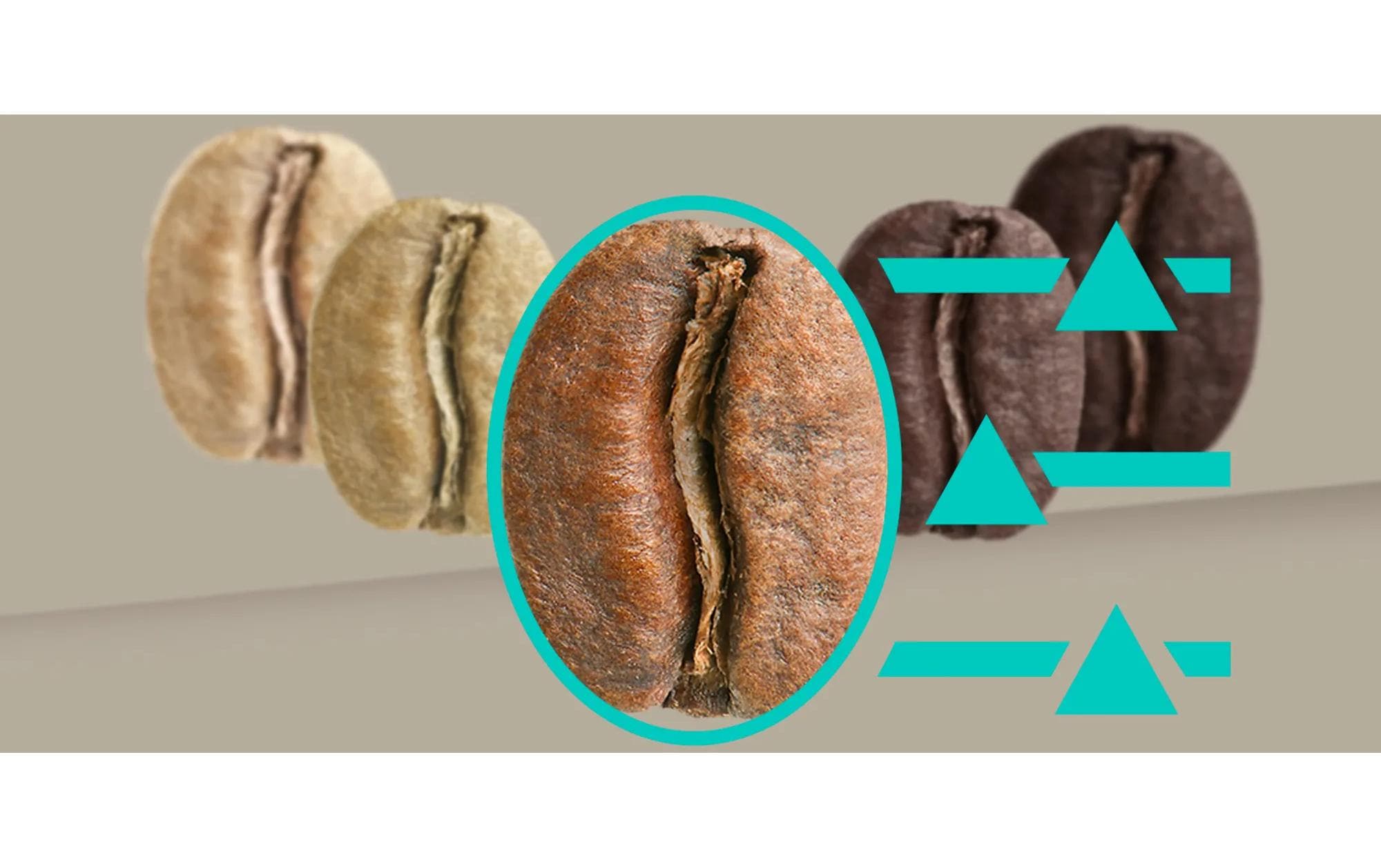 Siemens Kaffeevollautomat EQ 900 TQ905D03 Edelstahl Siemens Kaffeevollautomat EQ 900 TQ905D03 Edelstahl