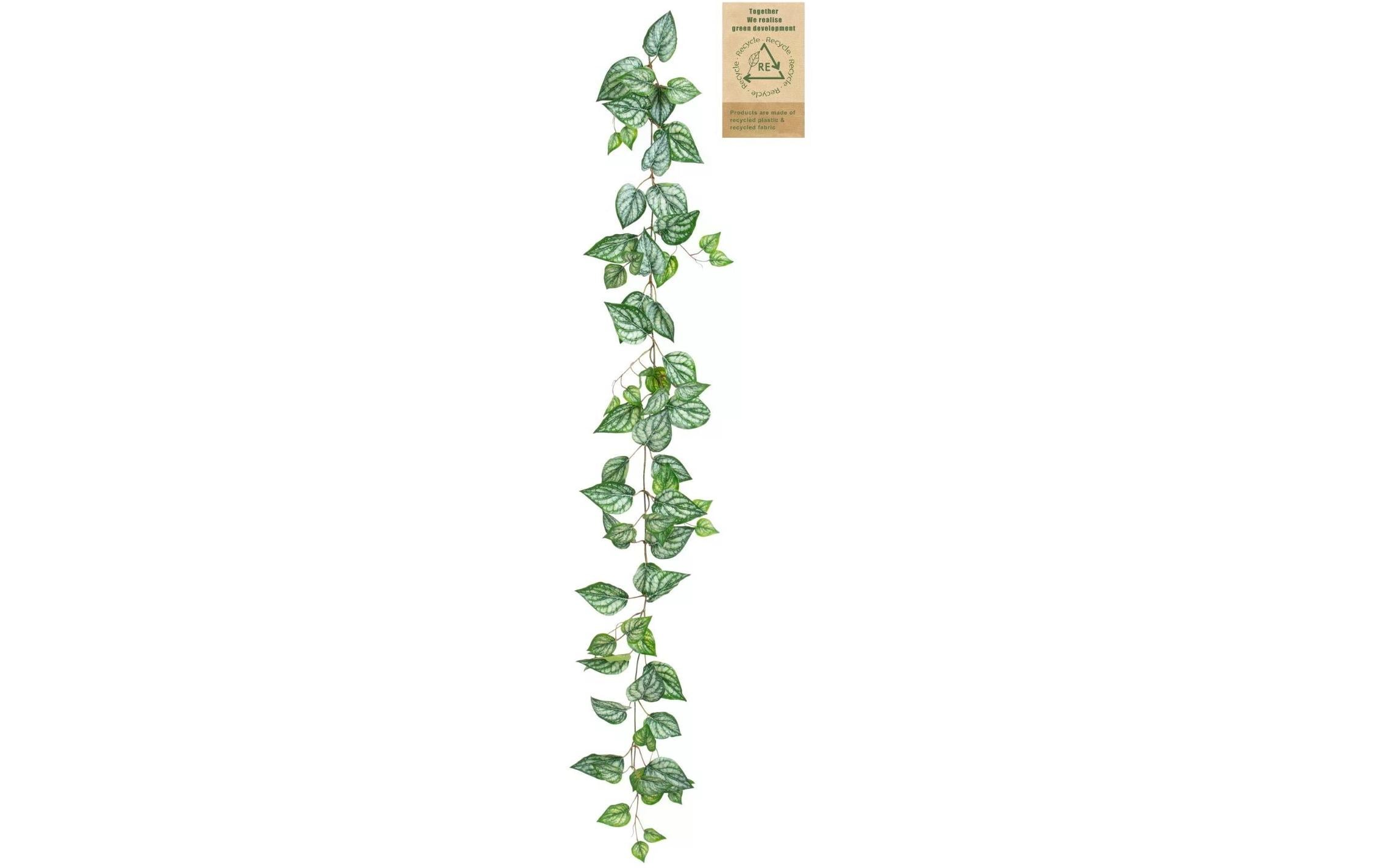 Botanic-Haus Kunstpflanze Calatheagirlande 150 cm