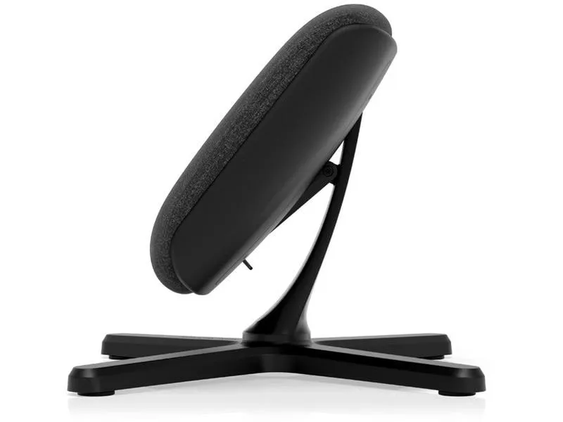 noblechairs Fussstütze 2 - TX Anthrazit noblechairs Fussstütze 2 - TX Anthrazit