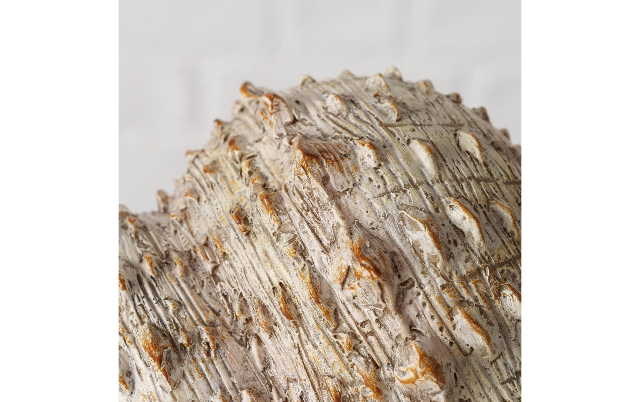 Boltze Aufsteller Muschel Bigo Beige