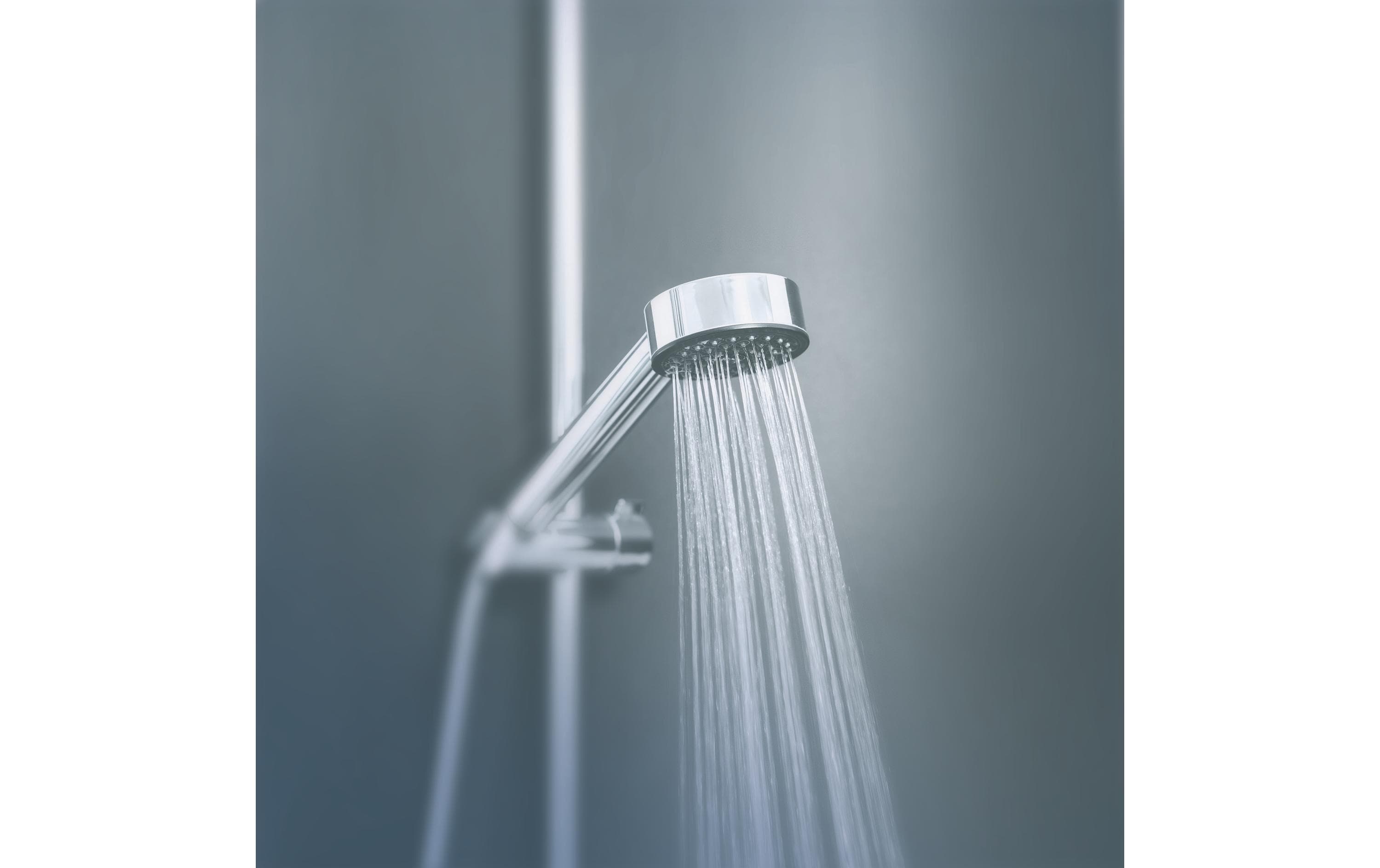 puregreen Wassersparregler