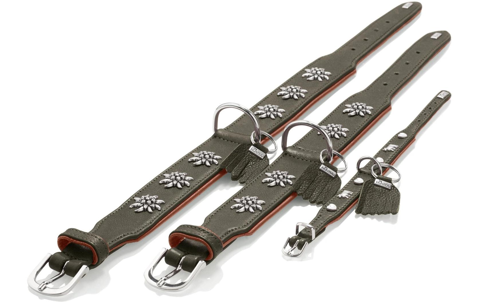 Hunter Halsband München 55/M, Rindsleder, Grün/Cognac