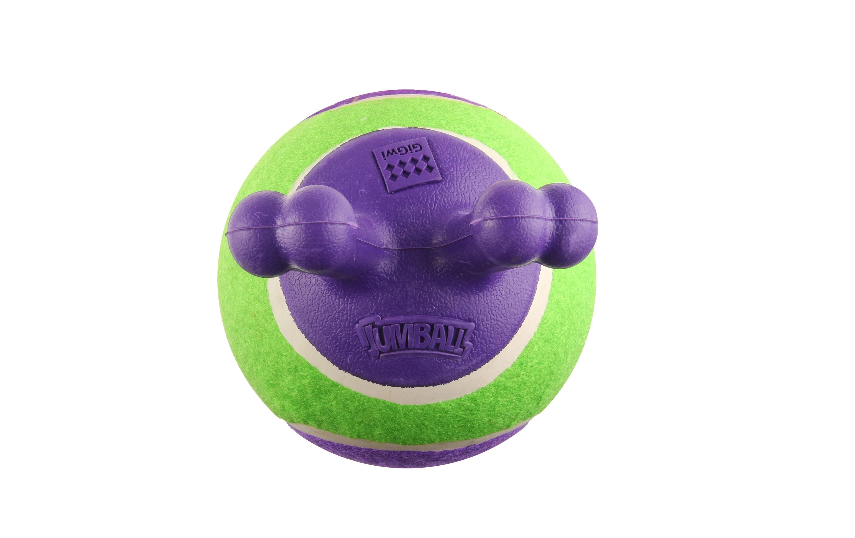 GiGwi Hunde-Spielzeug Jumpball, Tennis Ball, Grün/Violett